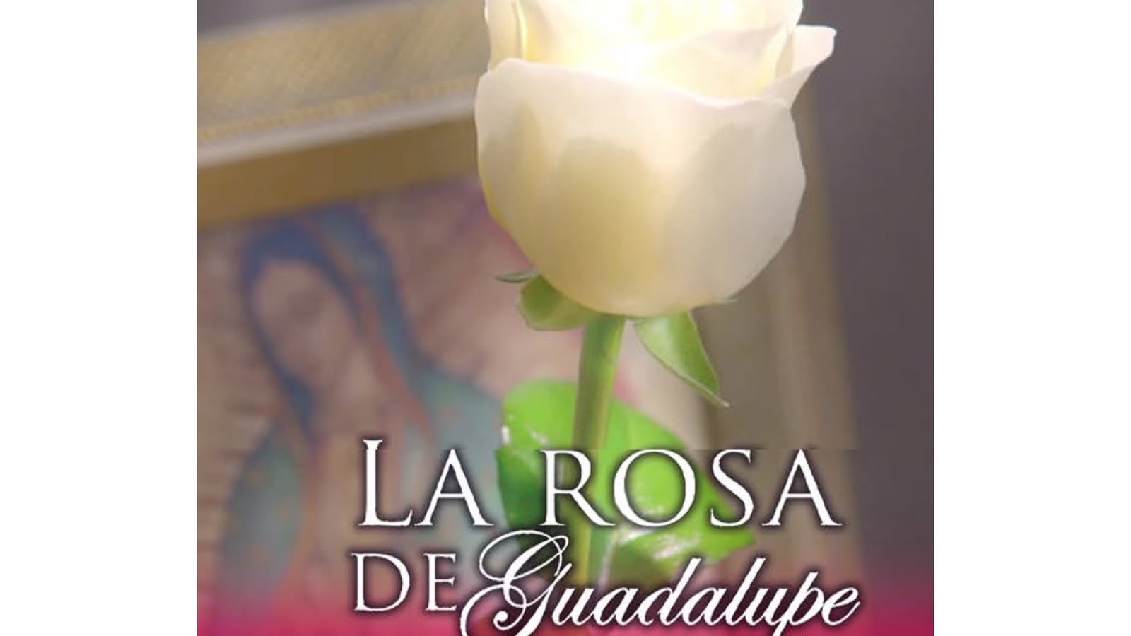 Revelan cómo se graba el famoso de viento en ‘La Rosa de Guadalupe’ y de dónde nació la idea