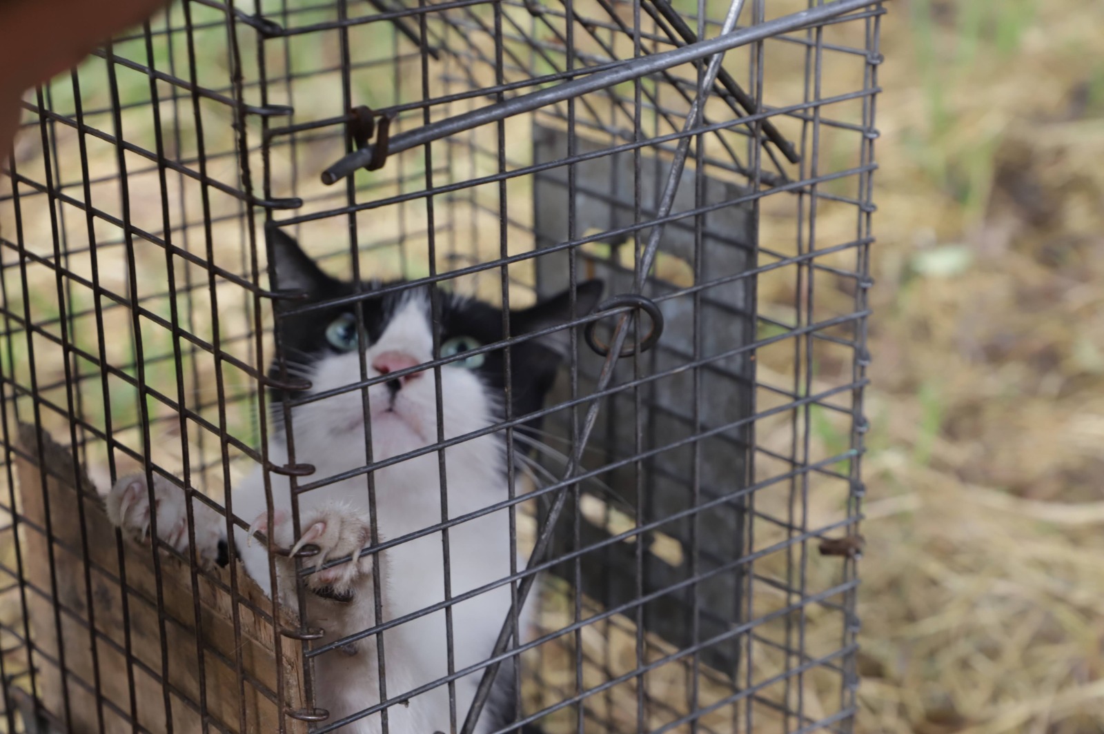 Anuncian medidas para la protección de humedales y su fauna en Bogotá