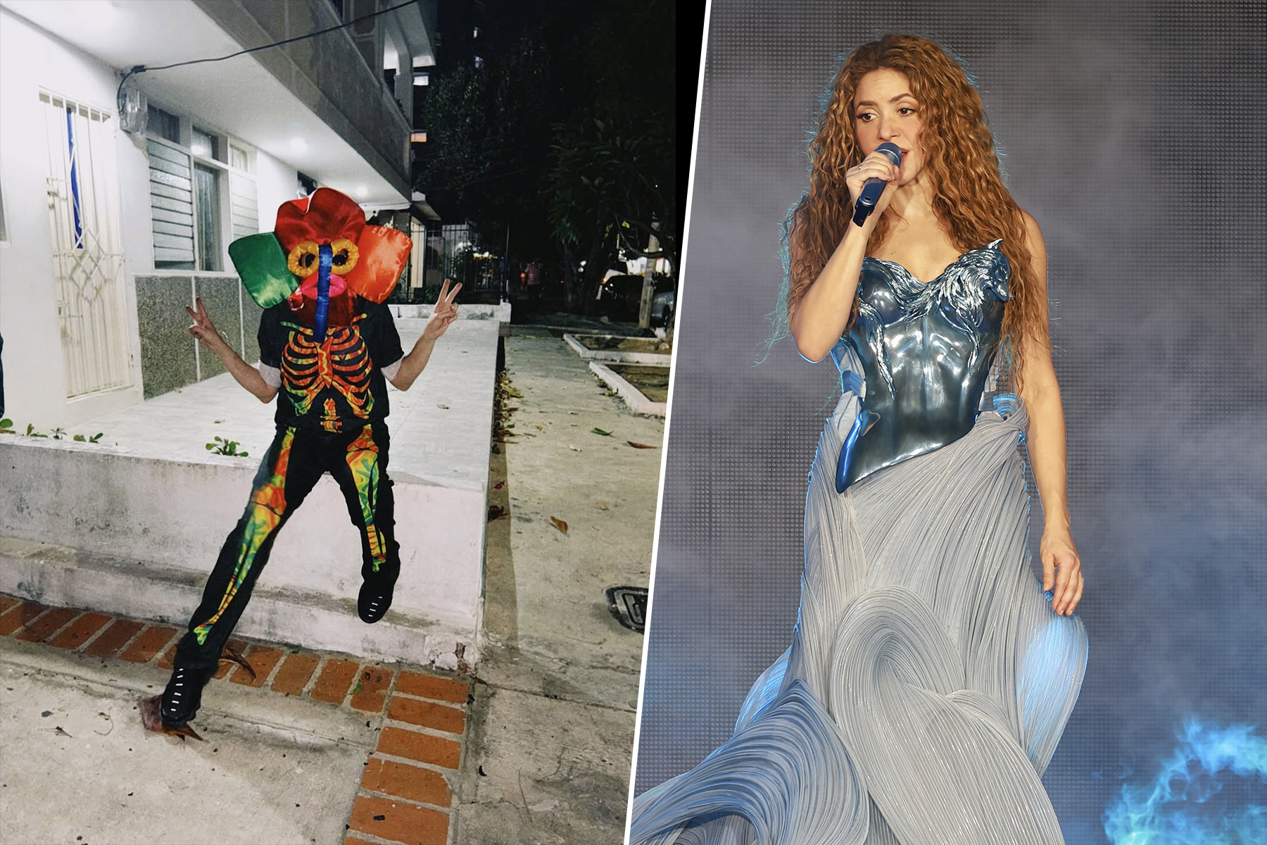El bordillo de Shakira: ¿por qué tendemos a idolatrar a las celebridades?