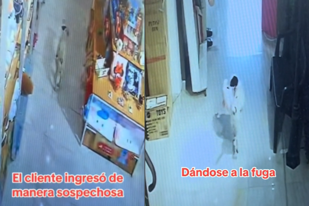 En video: adoptan perro que entró a robar peluche en Miniso