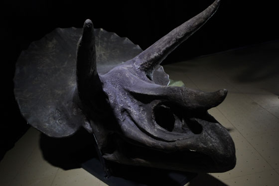 Galería Era de Dinosaurios