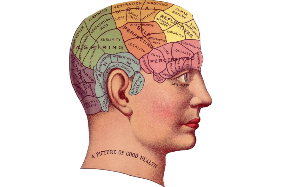 Hacer cosquillas al cerebro estimula la memoria