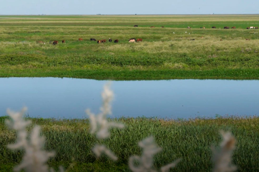 El segundo río más grande de Suramérica está en peligro