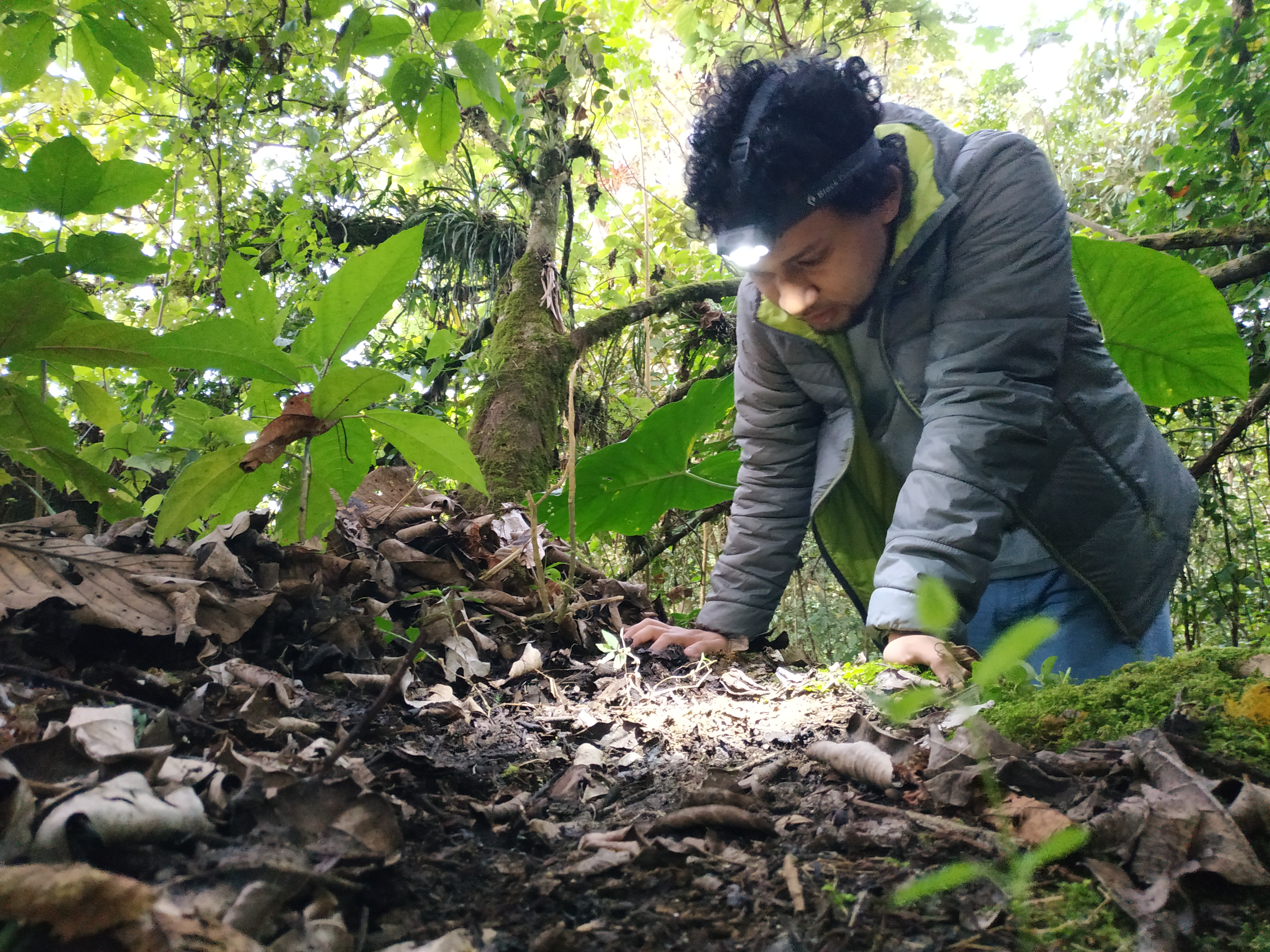 ¿Le gustaría investigar sobre la biodiversidad de Colombia?, esta beca le interesaría