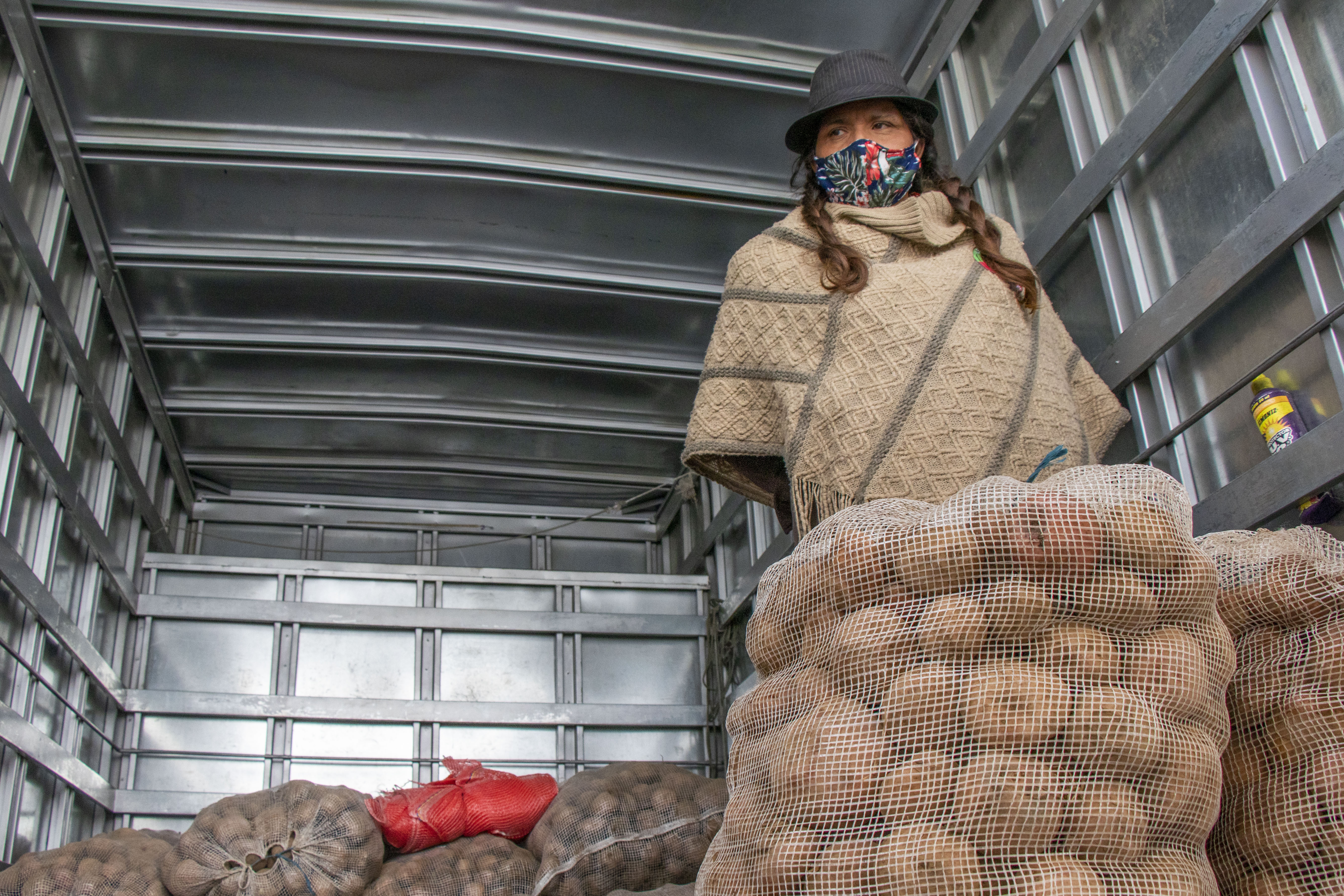 Papas, solidaridad y seguridad alimentaria