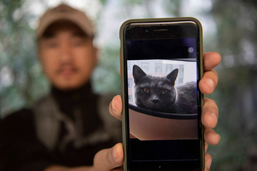Sun Jinrong, el detective chino que busca mascotas desaparecidas