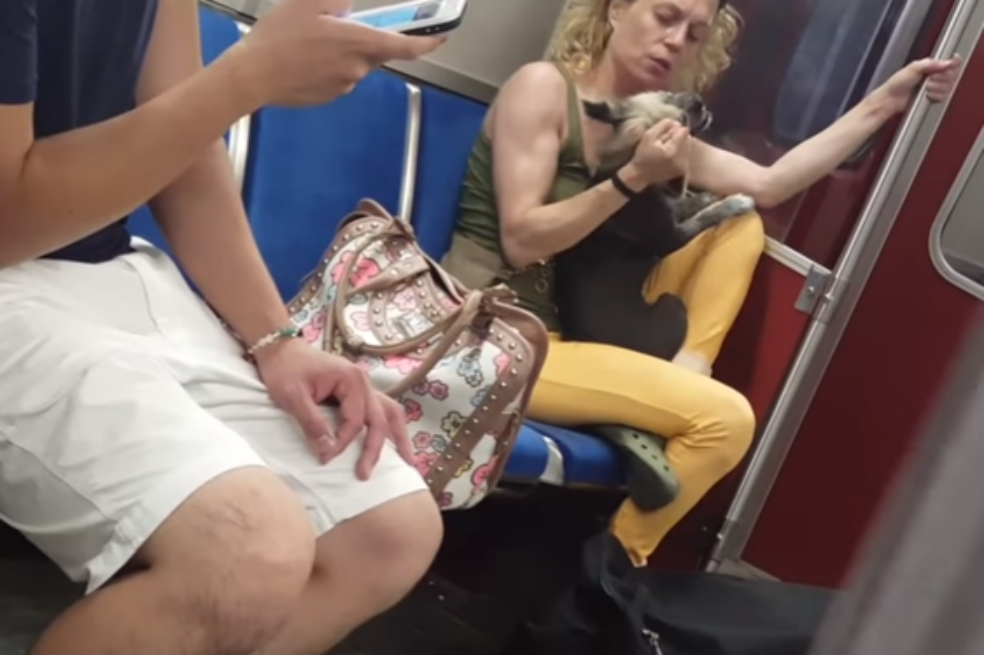 En video quedó registrada agresión de mujer a su perro
