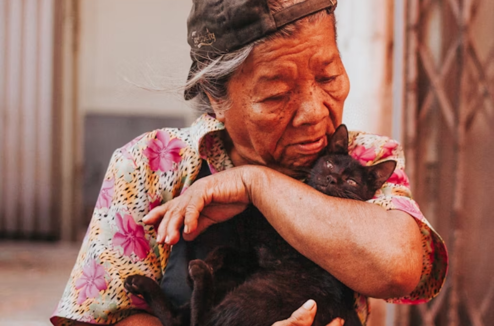 Brujas, locas o solitarias: desmontando los estereotipos de las mujeres con gatos