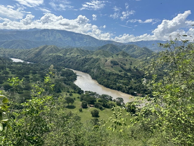 Solo queda un 9 % de la cobertura original del bosque seco tropical en Colombia