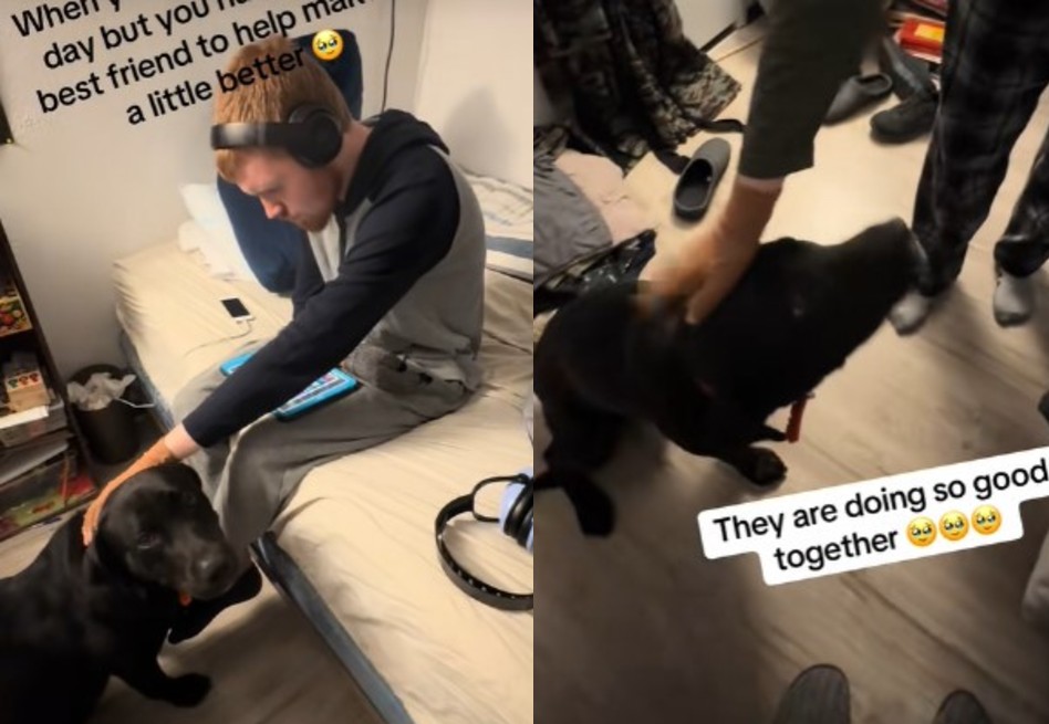 En video: adolescente autista y perro rescatado construyen un lazo especial