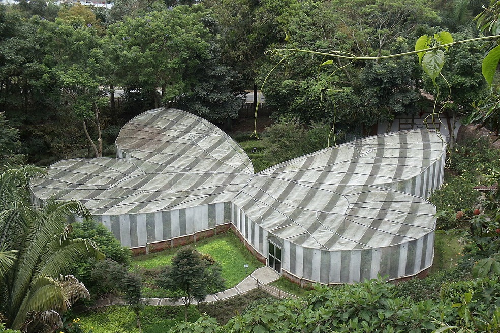 Jardín Botánico del Quindío lanza S.O.S para evitar su cierre definitivo, así podemos ayudar