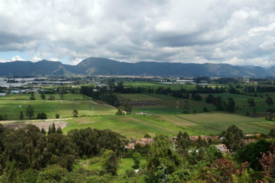 Continúa el debate alrededor del futuro de la reserva Van der Hammen