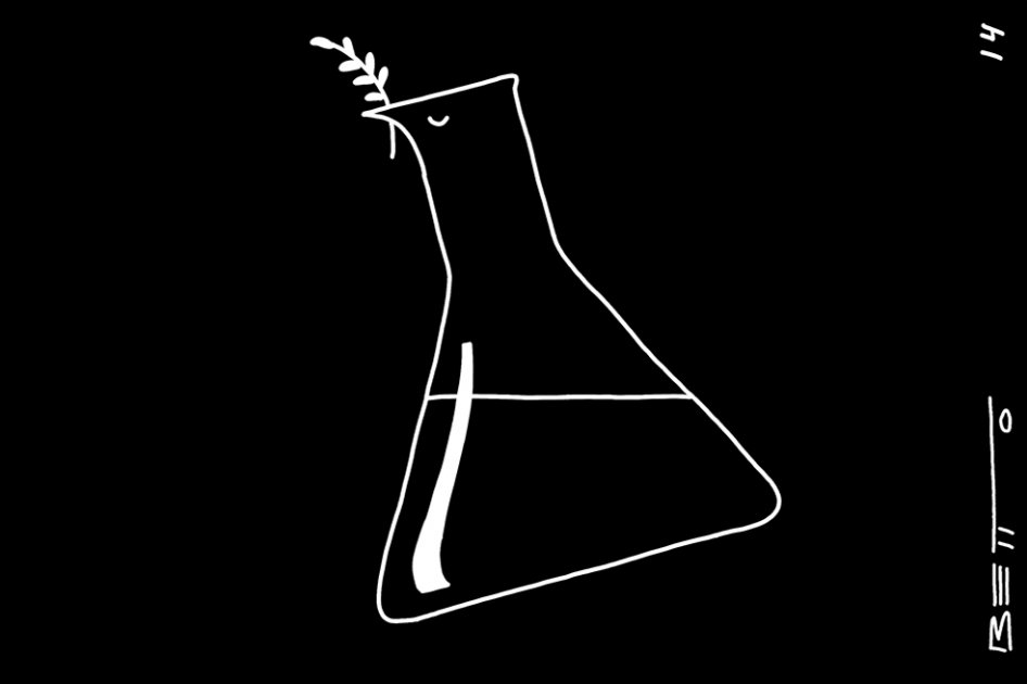 Laboratorio de paz