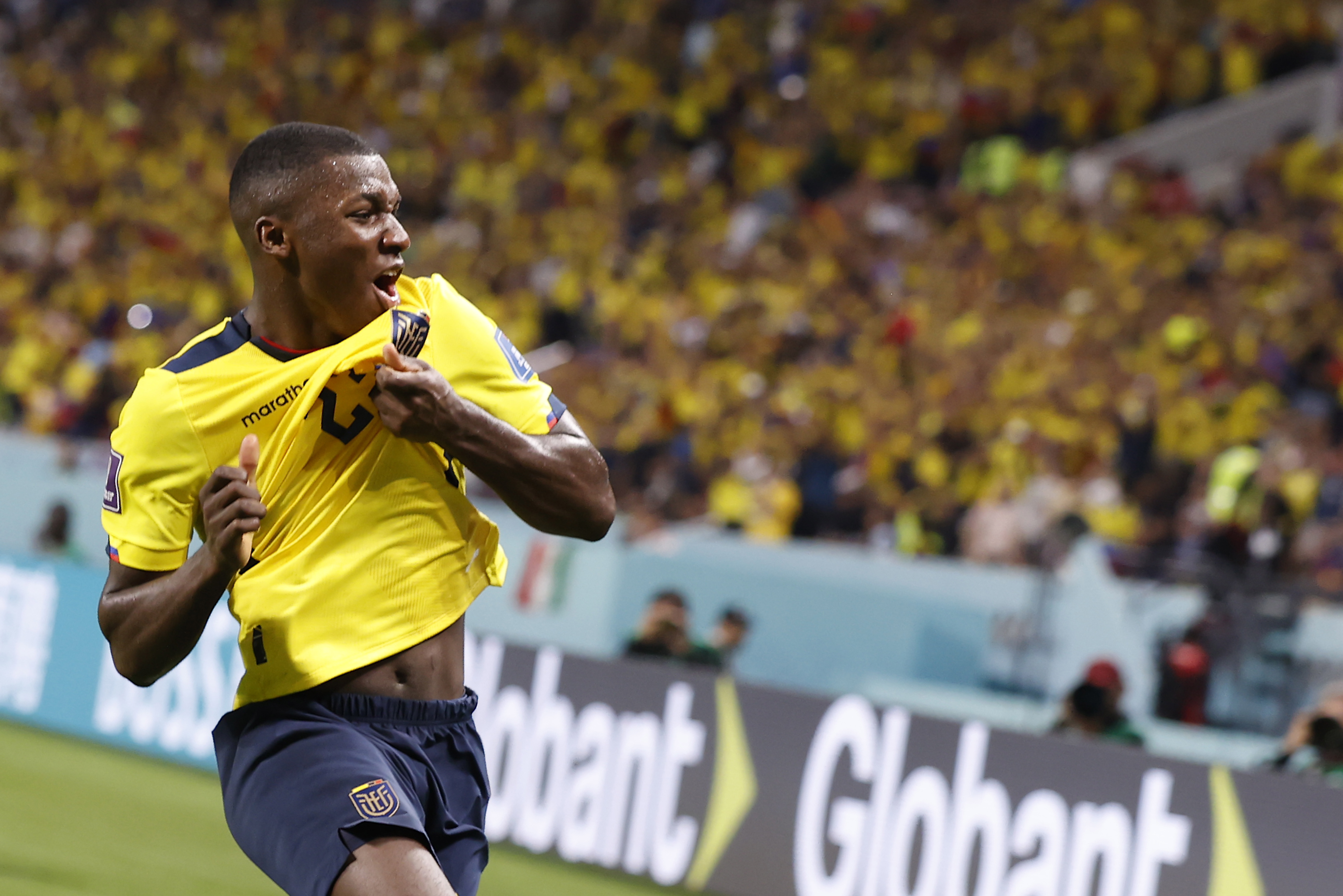 Ecuador anunció sus convocados para el Mundial: Caicedo, Hincapié y Pacho encabezan la lista