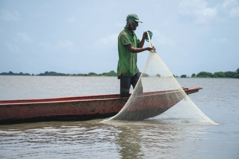 Sianci Hernández, pescador en la ciénaga de la Zapatosa.