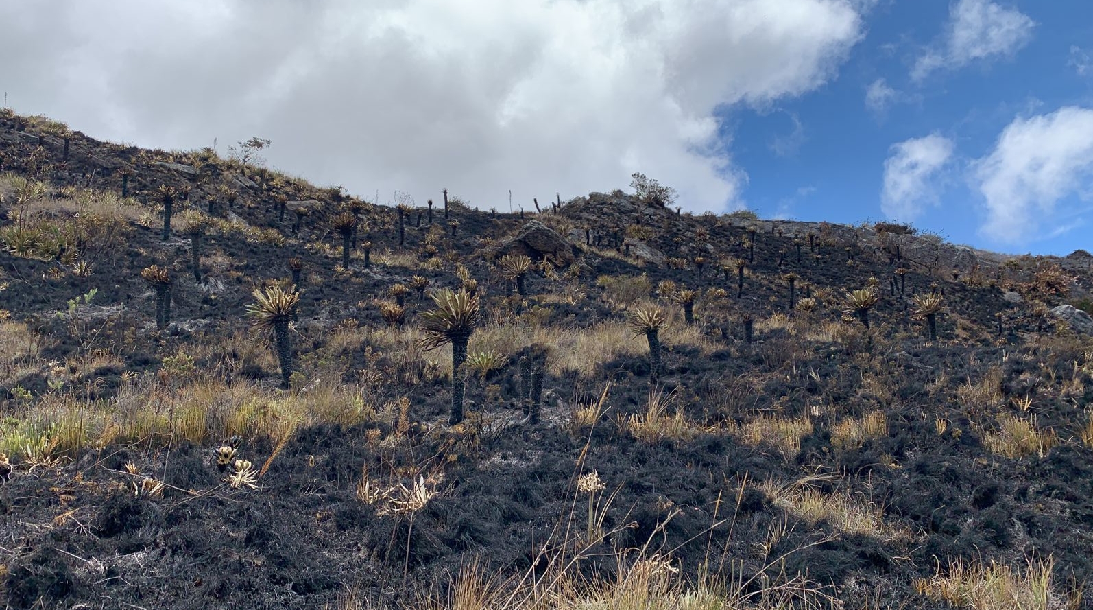 En fotos: así quedó el páramo de Aquitania, Boyacá, tras el incendio