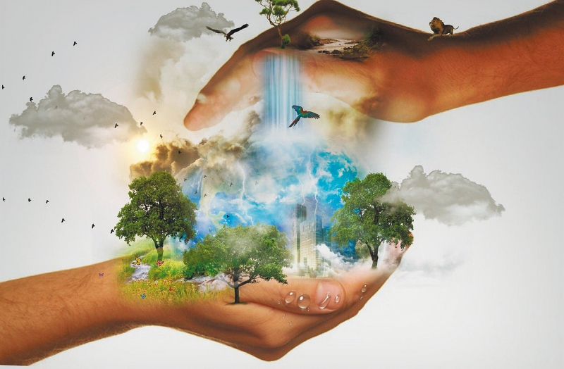 Día mundial del medio ambiente: 8 acciones para cuidar el planeta