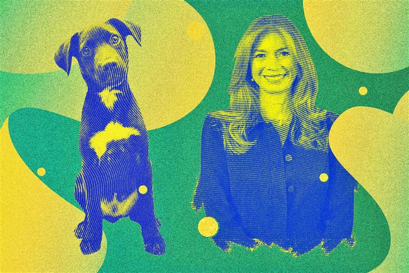 Eutanasia del perro Cosmo: un caso que genera más dudas que respuestas