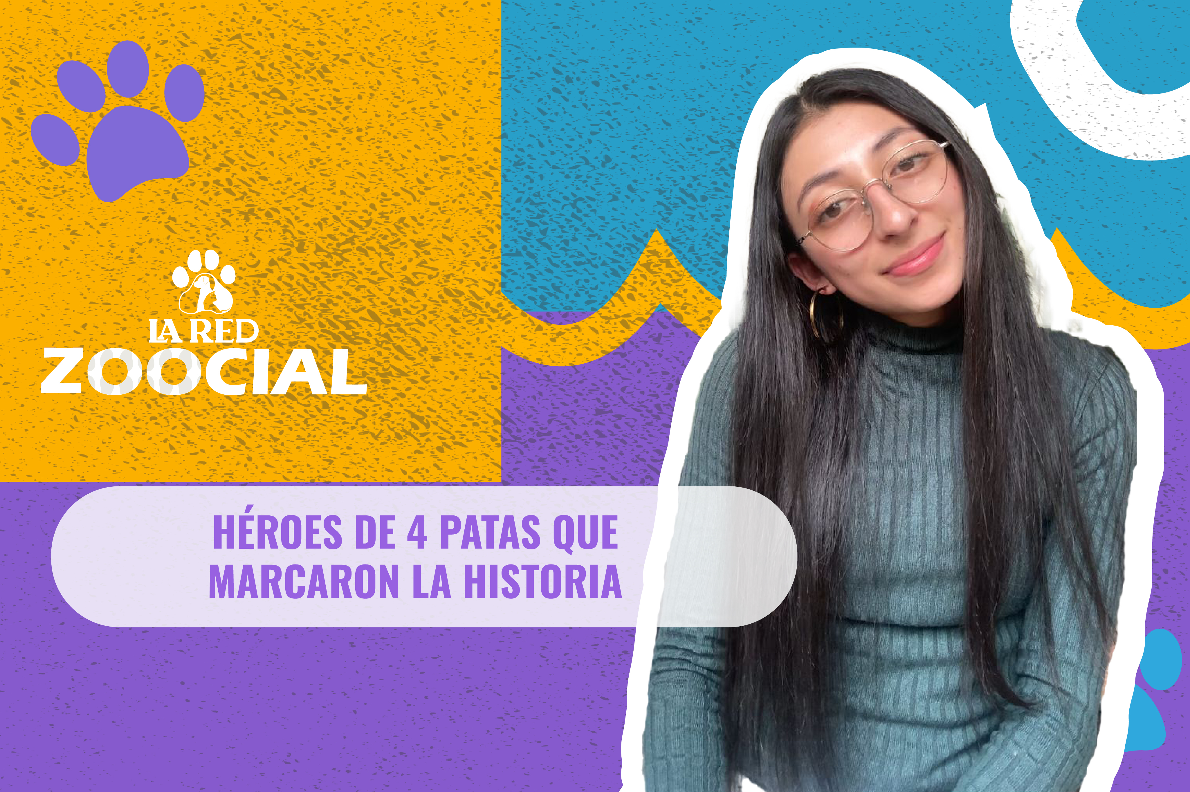 (Video) Héroes de cuatro patas que marcaron la historia