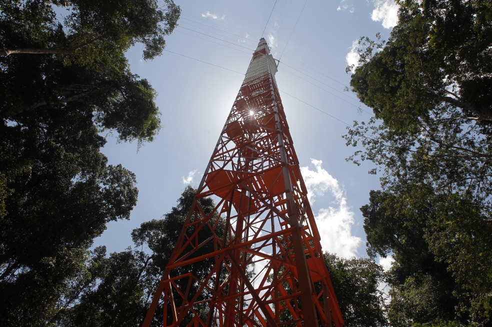 ATTO es un complejo de tres torres que contarán con rastreadores de gas, colectores de partículas y  sensores de luz para mirar durante dos o tres décadas el bosque amazónico y monitorear el aire que atraviesa esta selva. / AP.