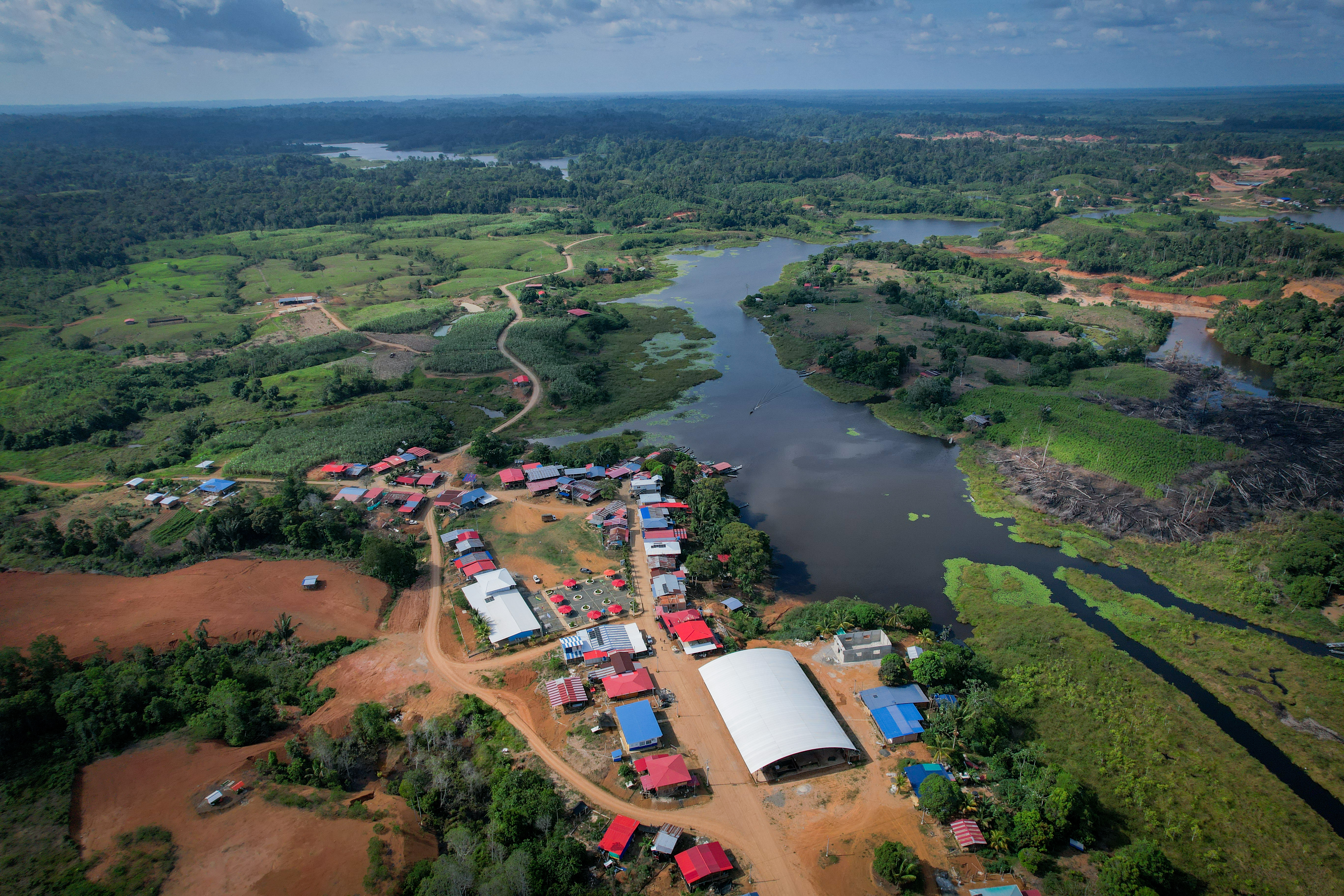 En la zona de la Laguna de Chimbuza se espera la sustitución de unas 4 mil hectáreas.