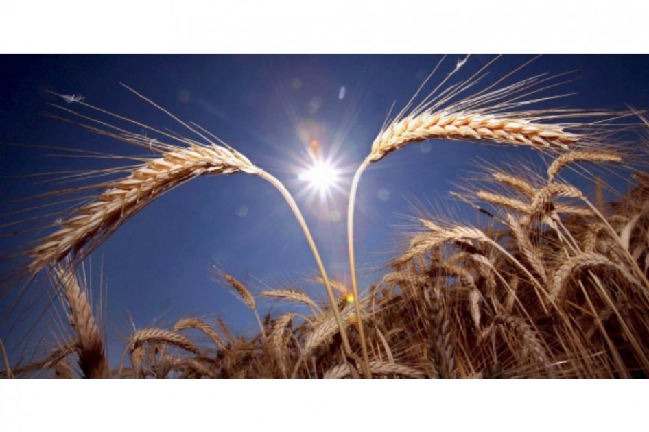Sequía y calor en Cuba no ceden: La Habana reportó temperatura récord de 38.2°