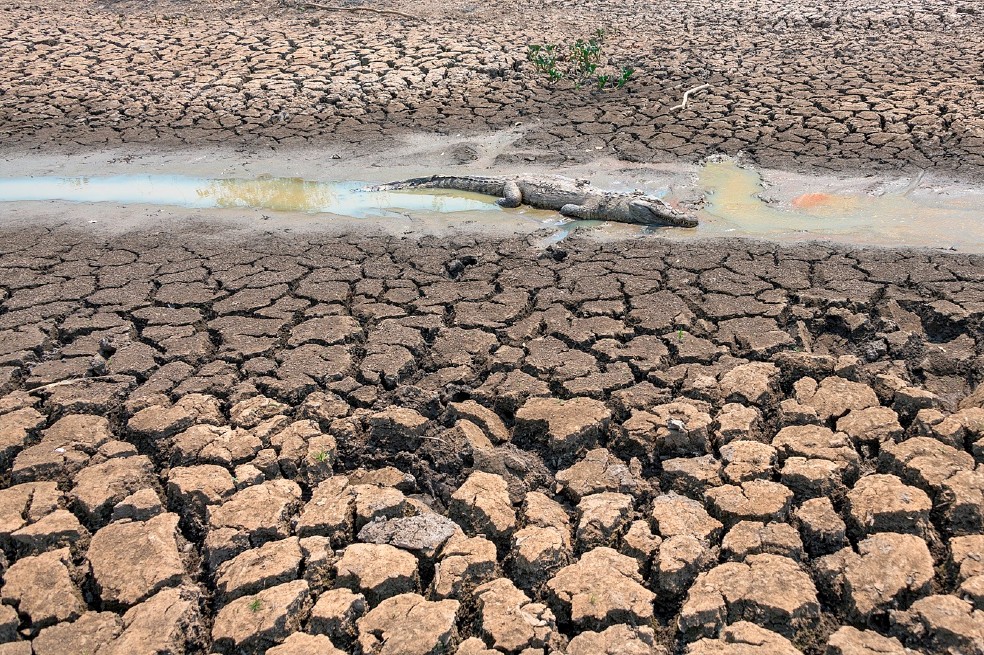¿Por qué es tan importante el Pantanal, el humedal tropical más grande del mundo que se quema?