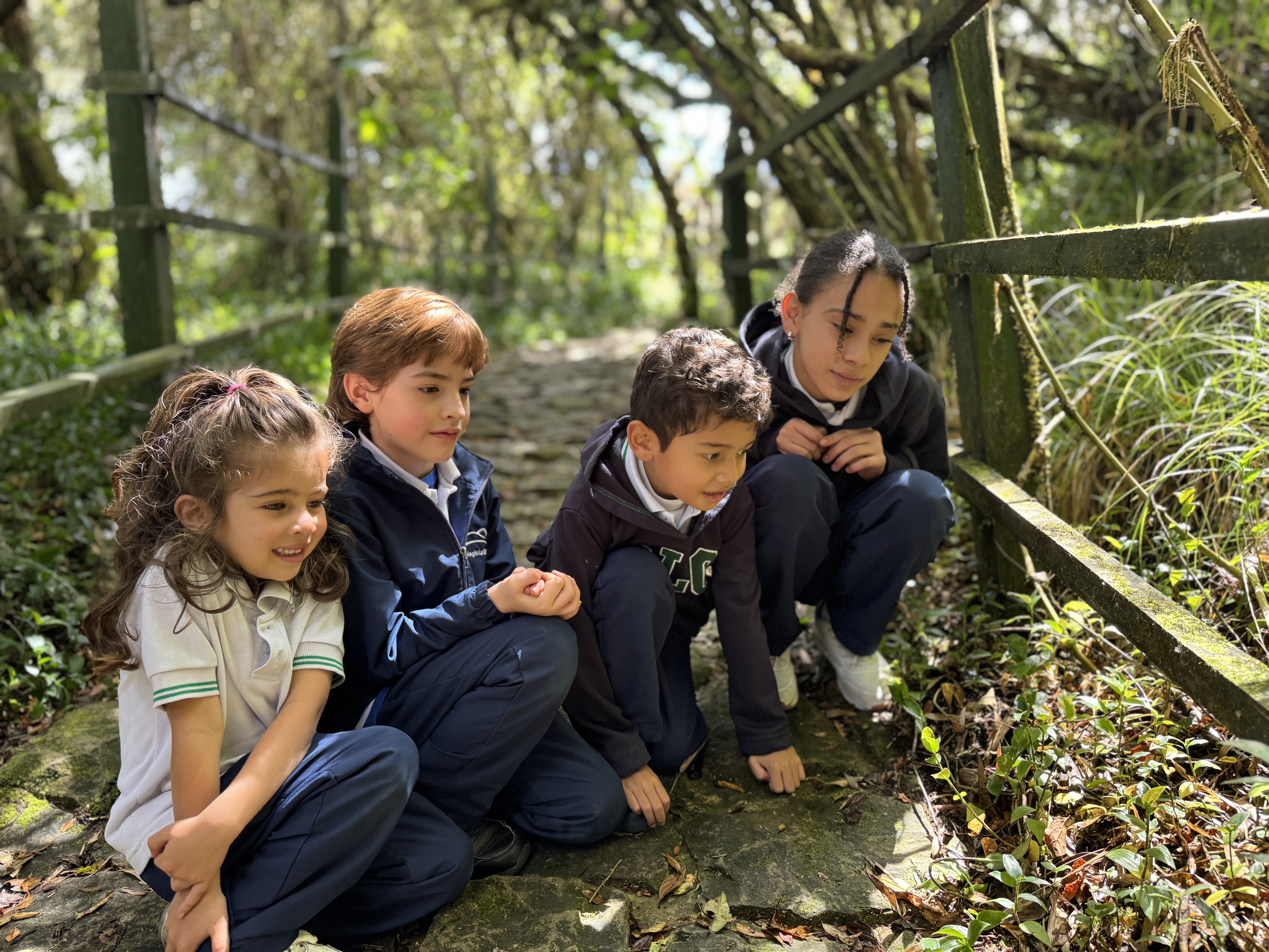 La Colina, primer Forest School con educación moderna basada en el modelo de pedagogía activa