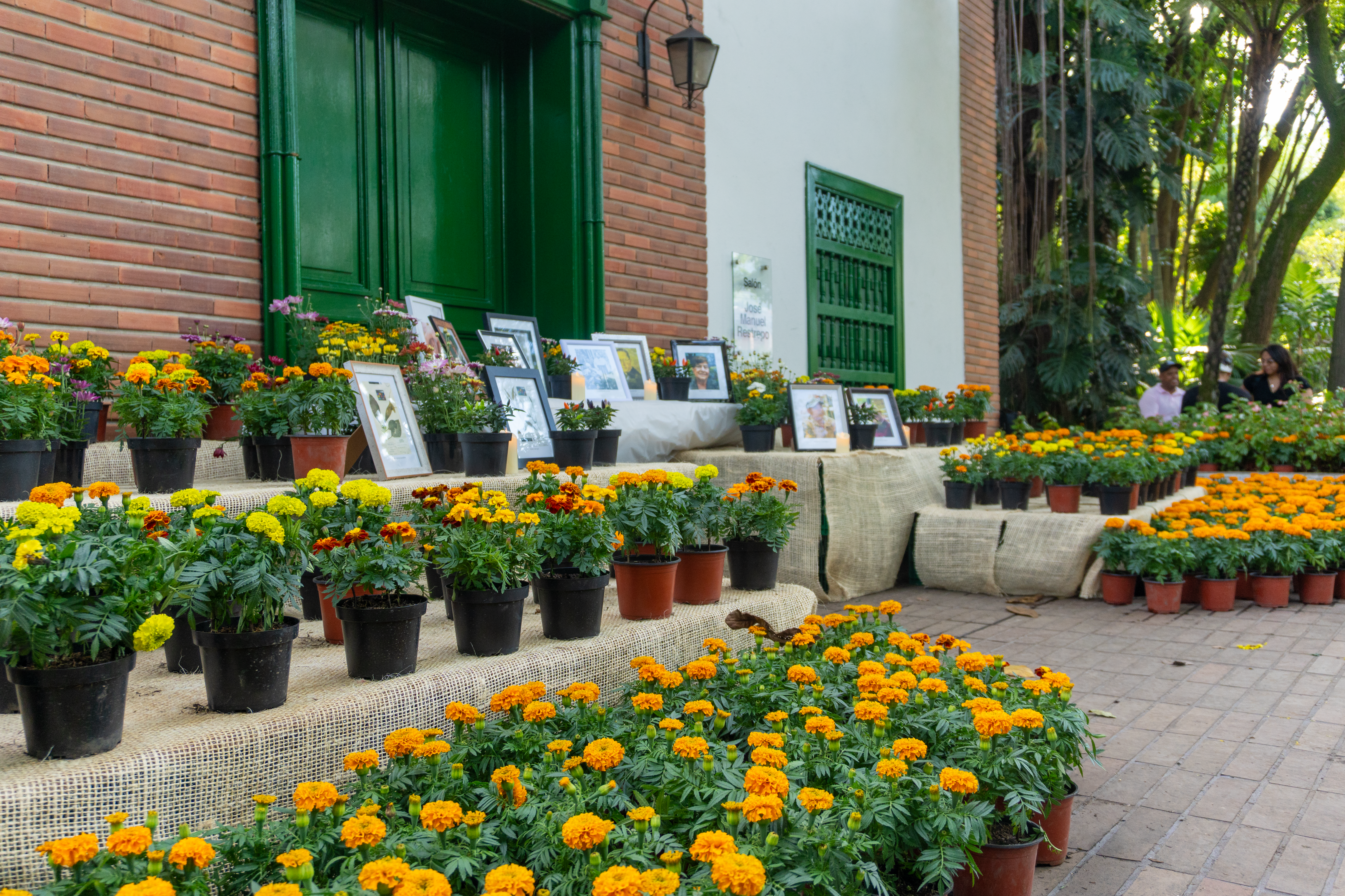 ¿Cómo queremos ser recordados?
El ingreso al Jardín Botánico de Medellín es gratuito para todos sus visitantes.