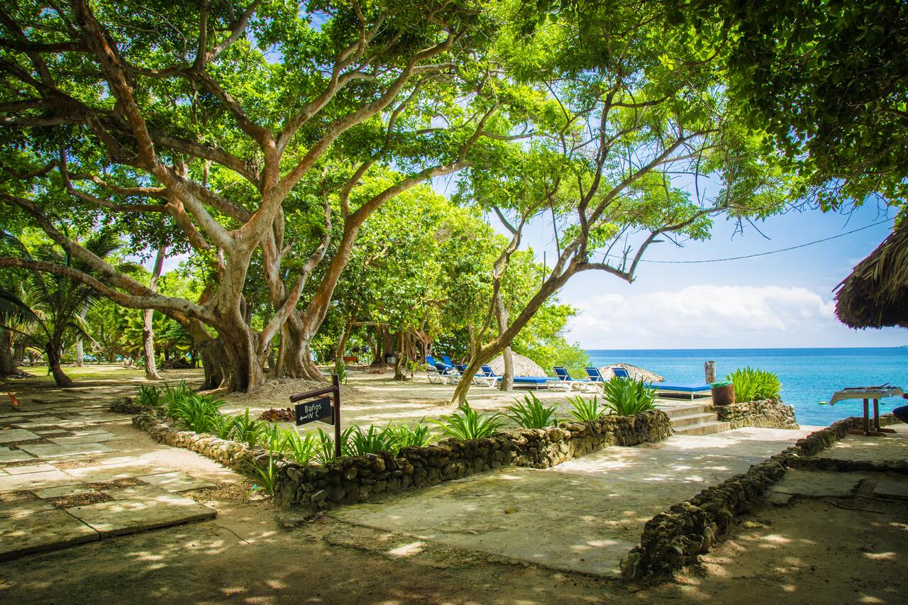 El Hotel San Pedro de Majagua está ubicado en Isla Grande (Islas Corales del Rosario)