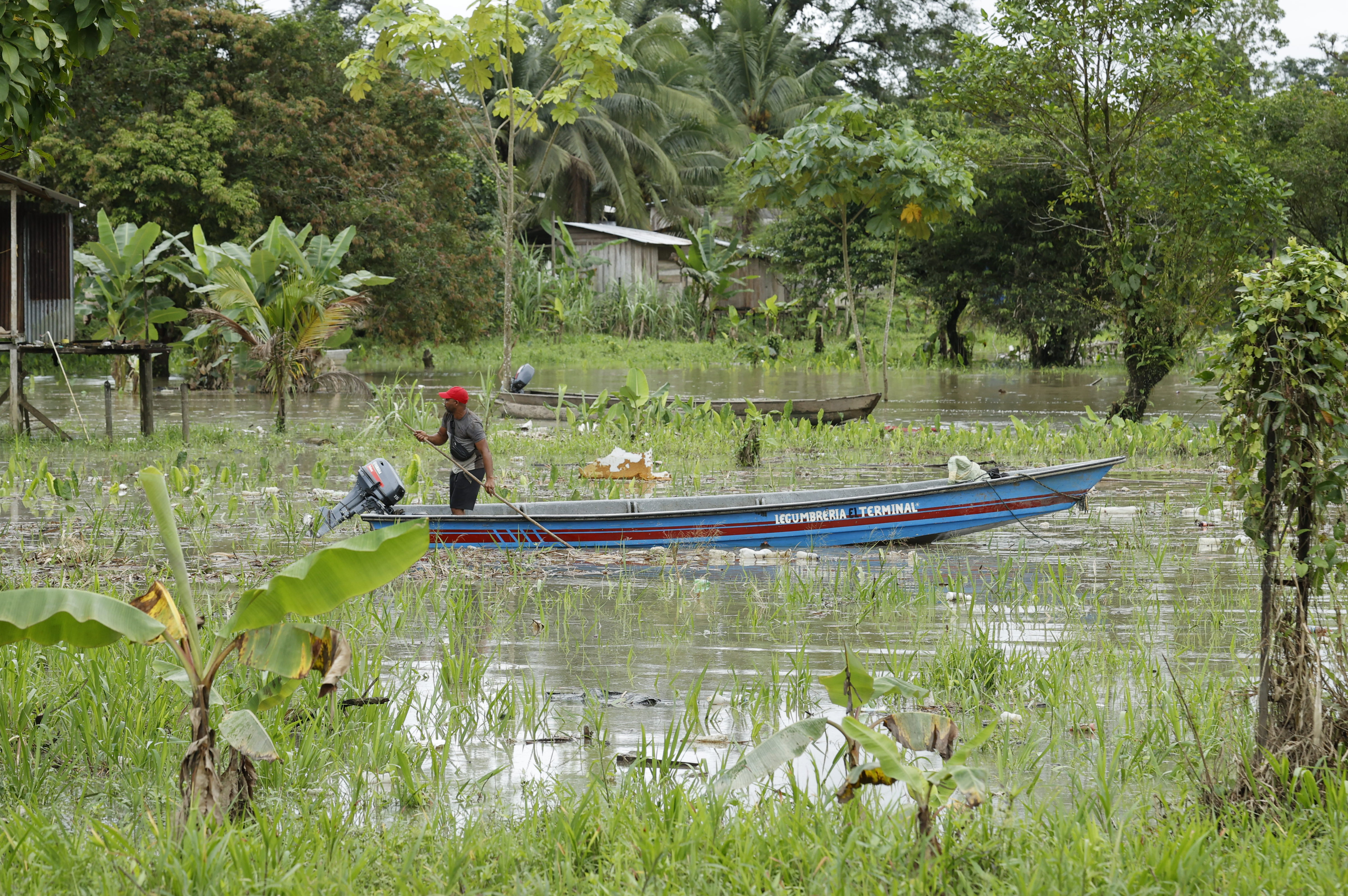 Defensoría alerta situación en el Chocó por presencia del Clan del Golfo y el Eln