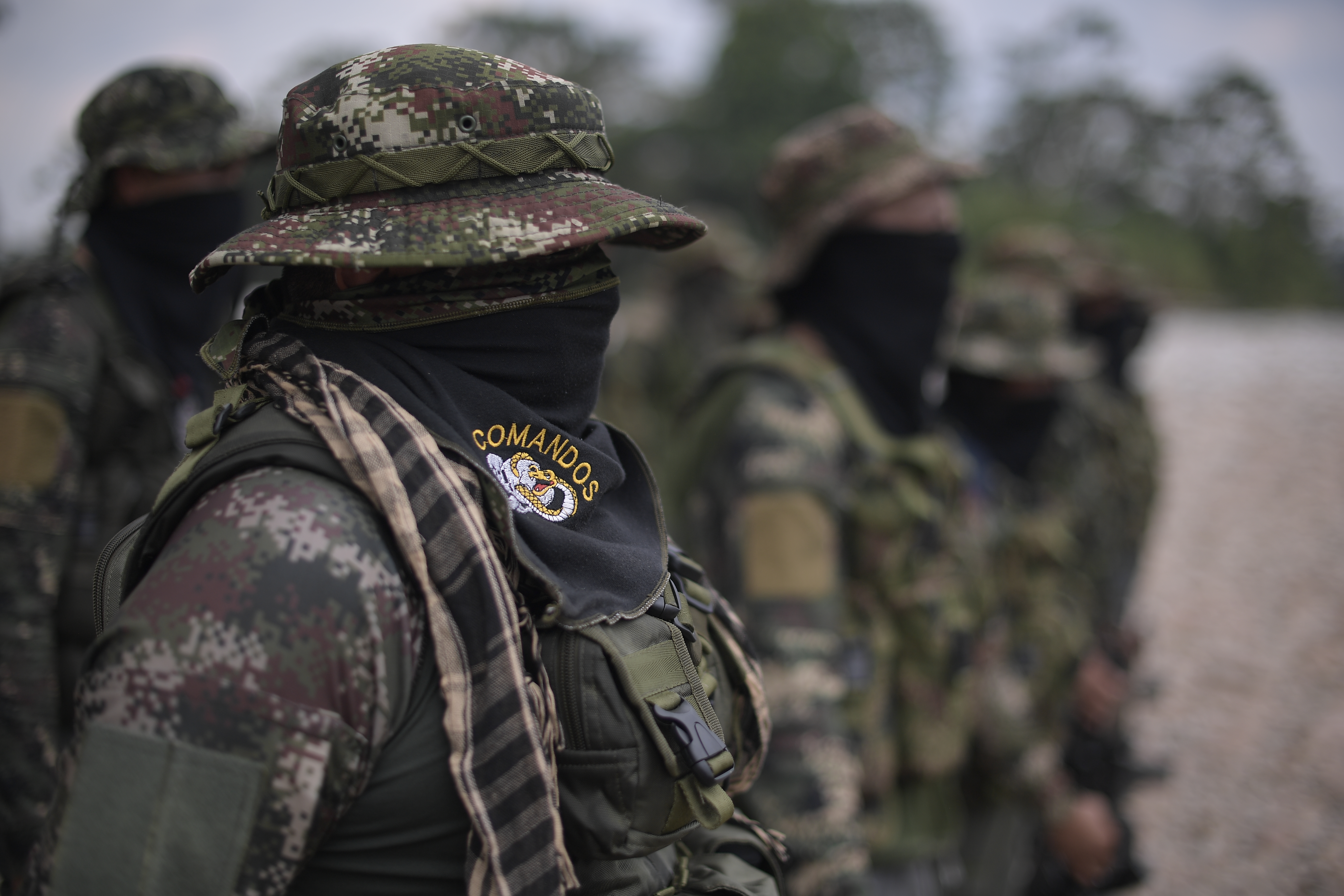 Comandos de Frontera: la disidencia bombardeada por EE. UU. y Ecuador en límite con Colombia