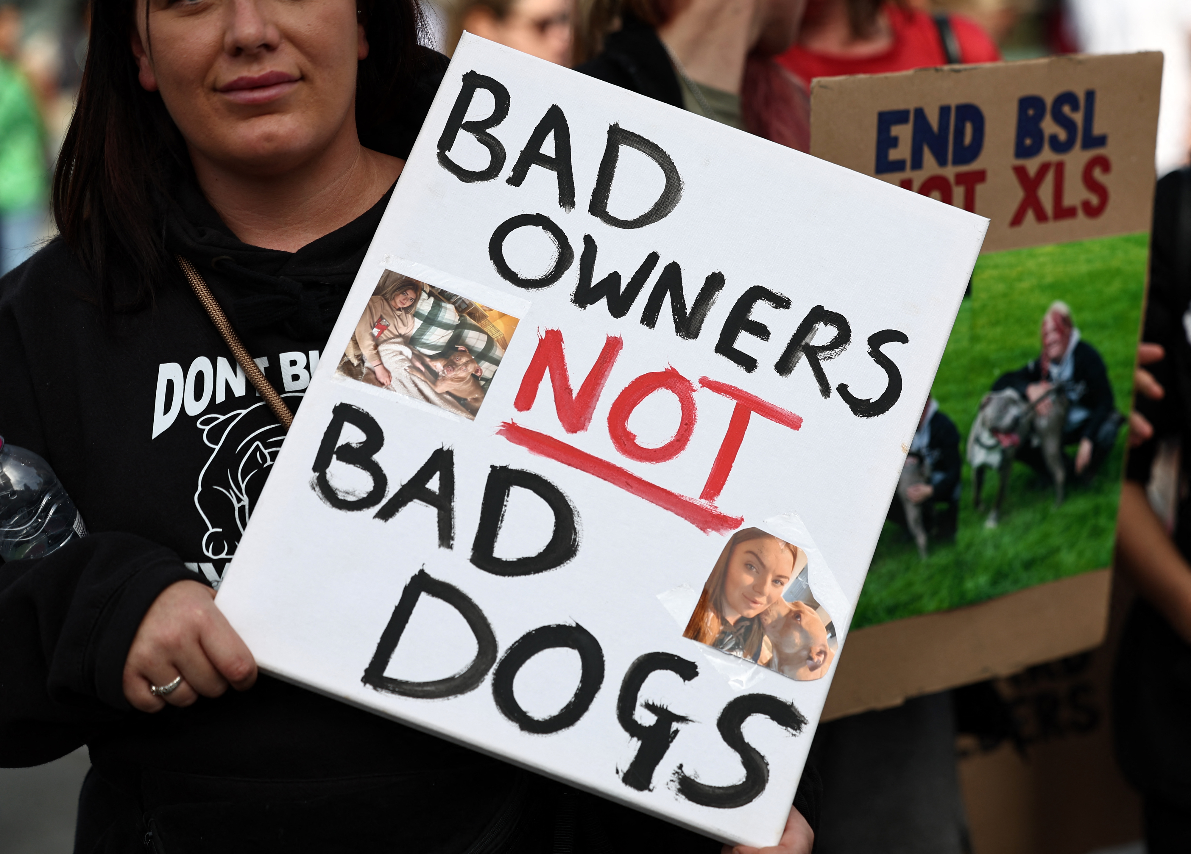 Organización pide que adopten a cuatro bully XL antes de que sean sacrificados