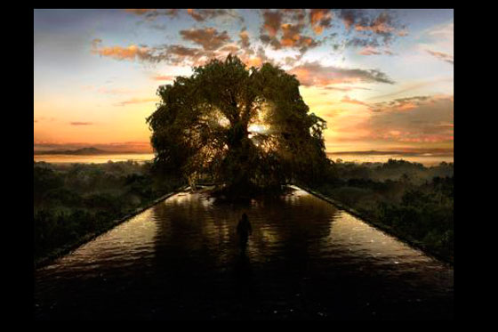 La película, El árbol de la vida, se estrena en Colombia
