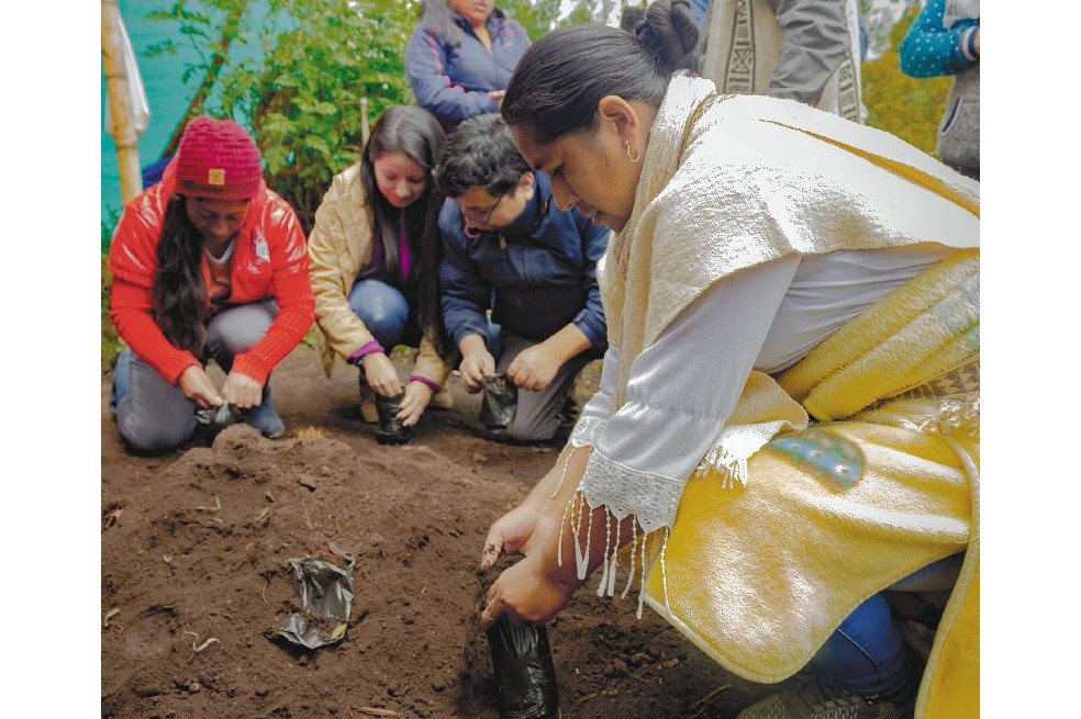 Viveros comunitarios, aliados para restaurar los páramos de Colombia