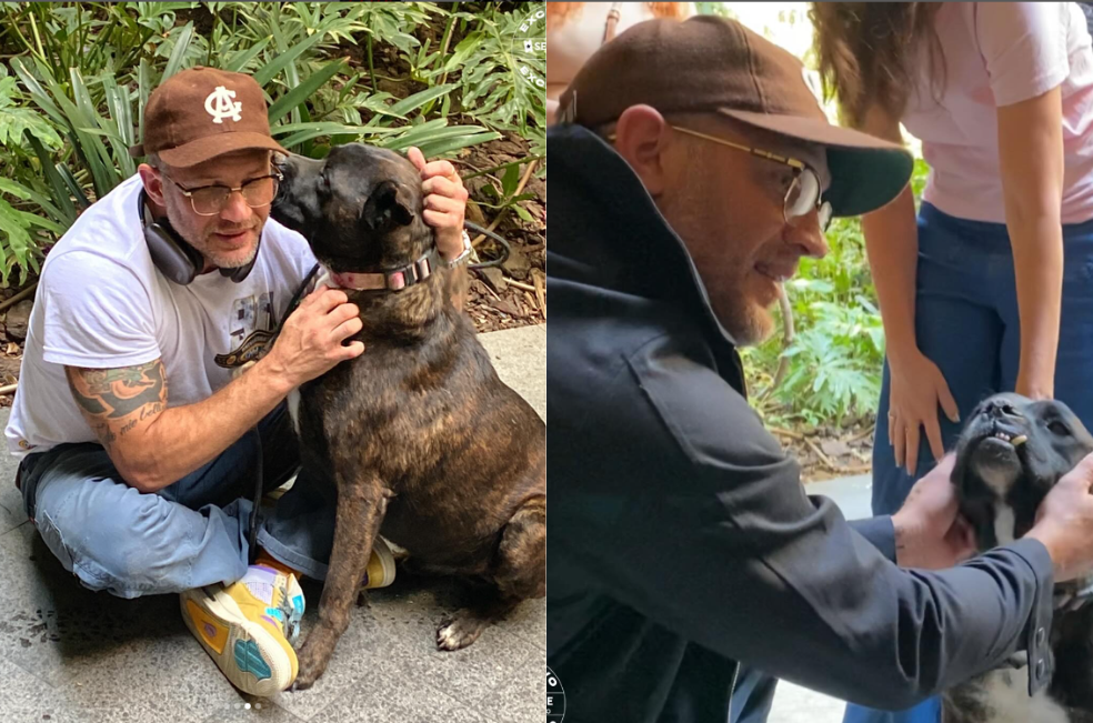 Un perrito sin hogar de México ´”le robó el corazón” a Tom Hardy