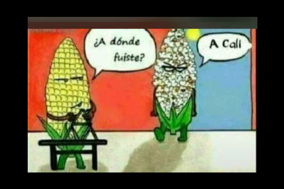 ¡Reíte ve! Estos son los mejores memes por la ola de calor en Cali