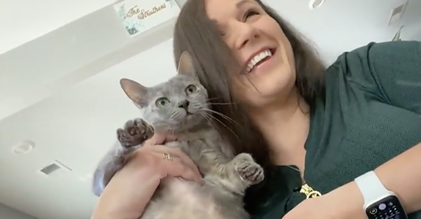 Gracias a un microchip: una gata y su dueña se reencuentran, tras 5 años separadas