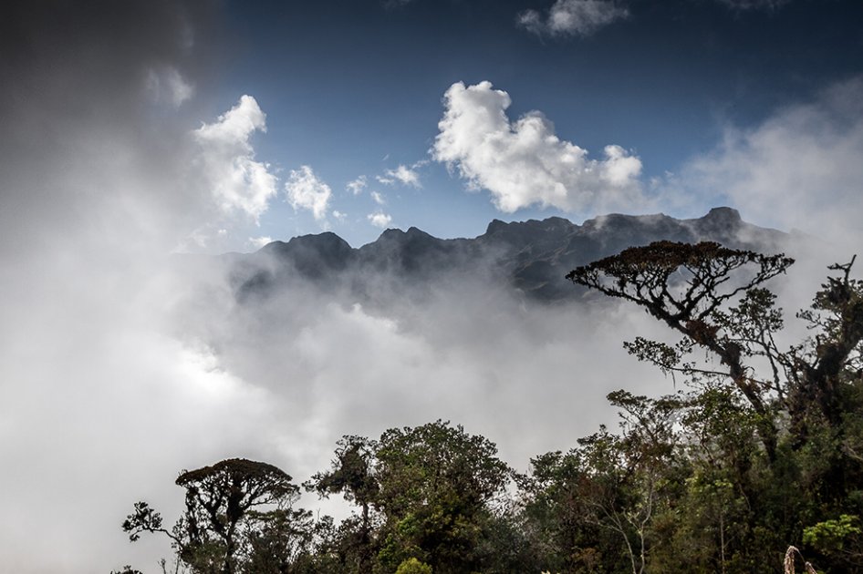 Imagen de la película "Colombia magia salvaje". / Cortesía