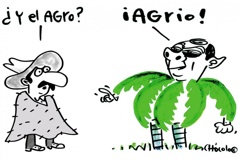 Chócolo