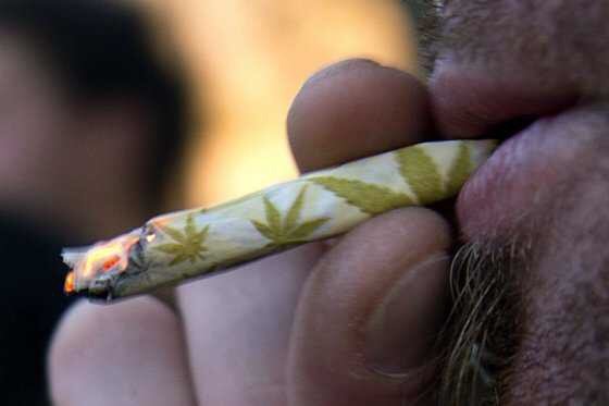 Día histórico: Senado abre debate a legalización de marihuana con fines medicinales