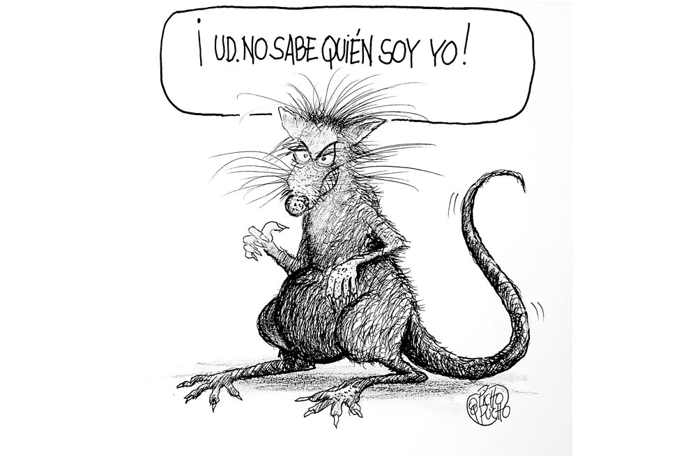 Picho y pucho