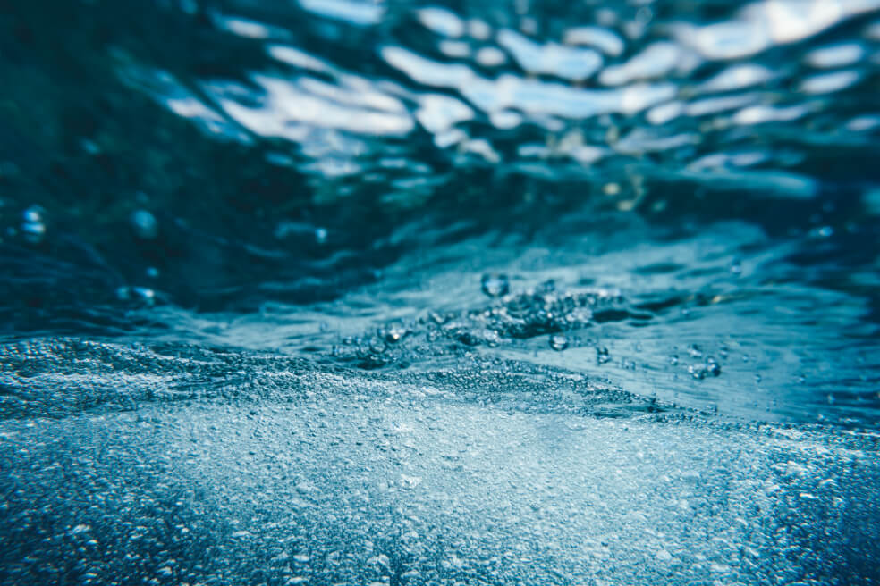 Unidos por el agua