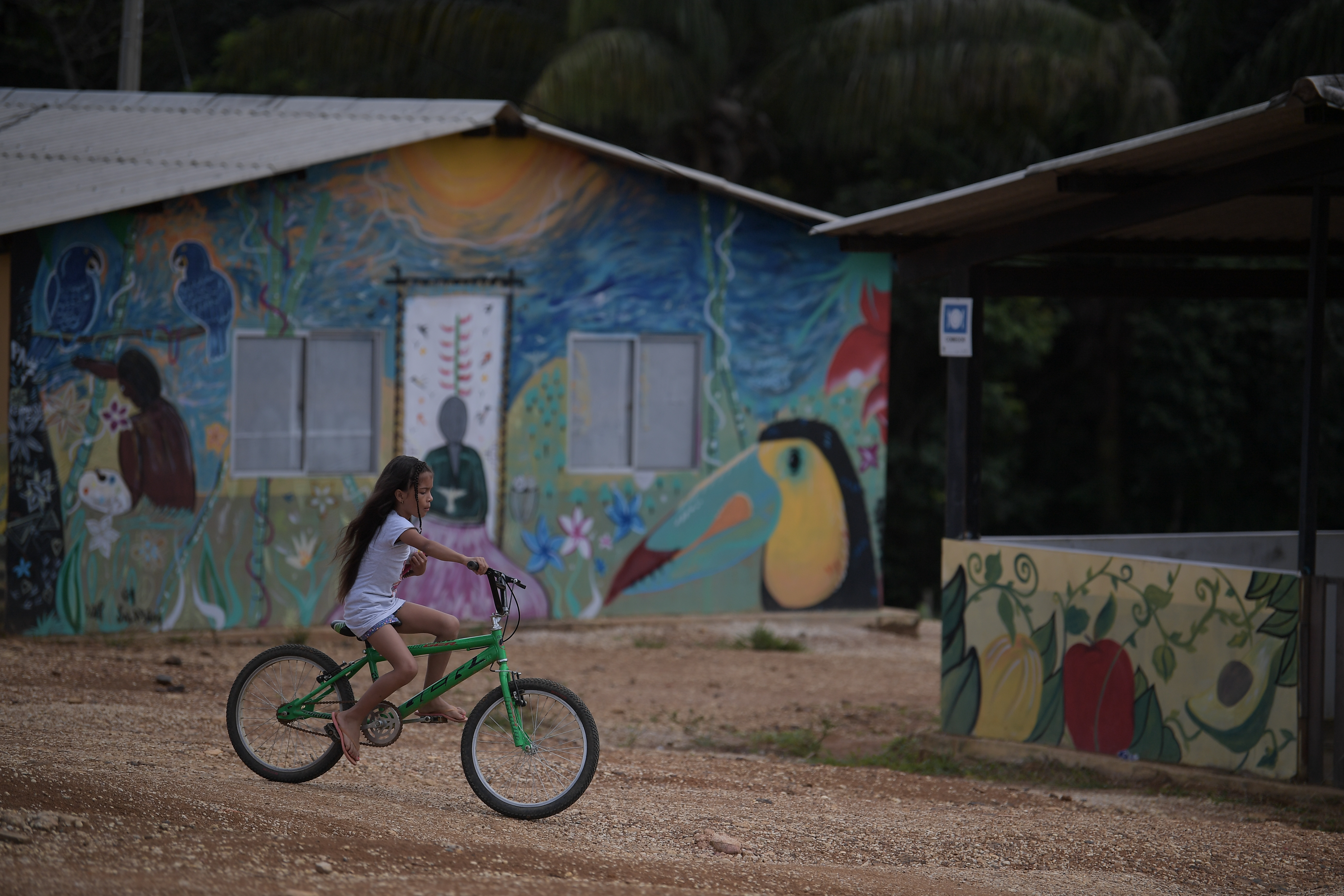 Diferentes aspectos de este espacio de reincorporación del Caquetá: Habitantes, animales, casas.