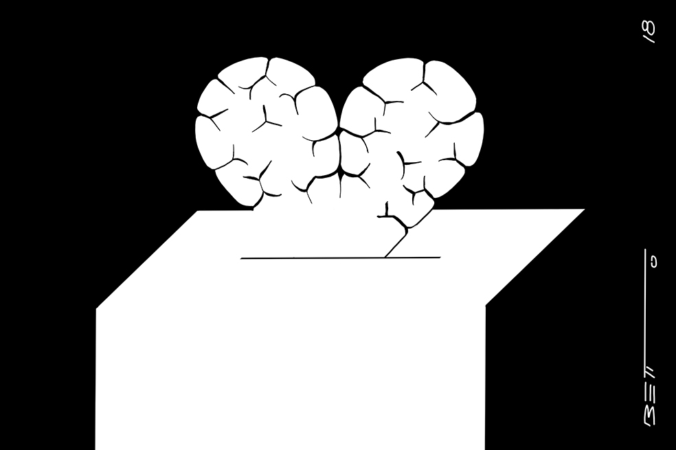 Voto emocional