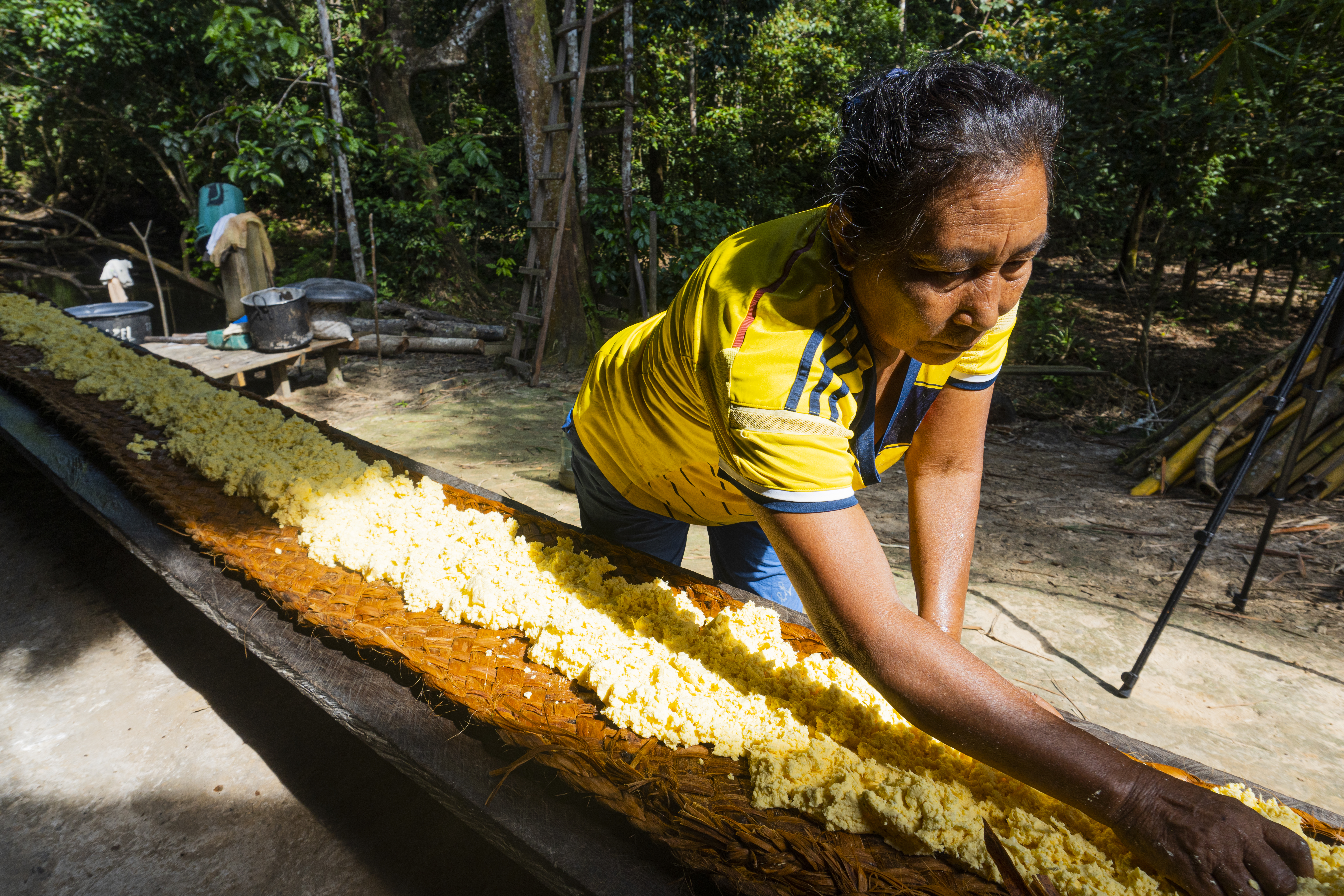 La sabedora del pueblo murui doña Eufracia Kuyuedo coloca masa de yuca en el exprimidor, uno de los pasos de la elaboración del casabe, torta de harina de yuca.