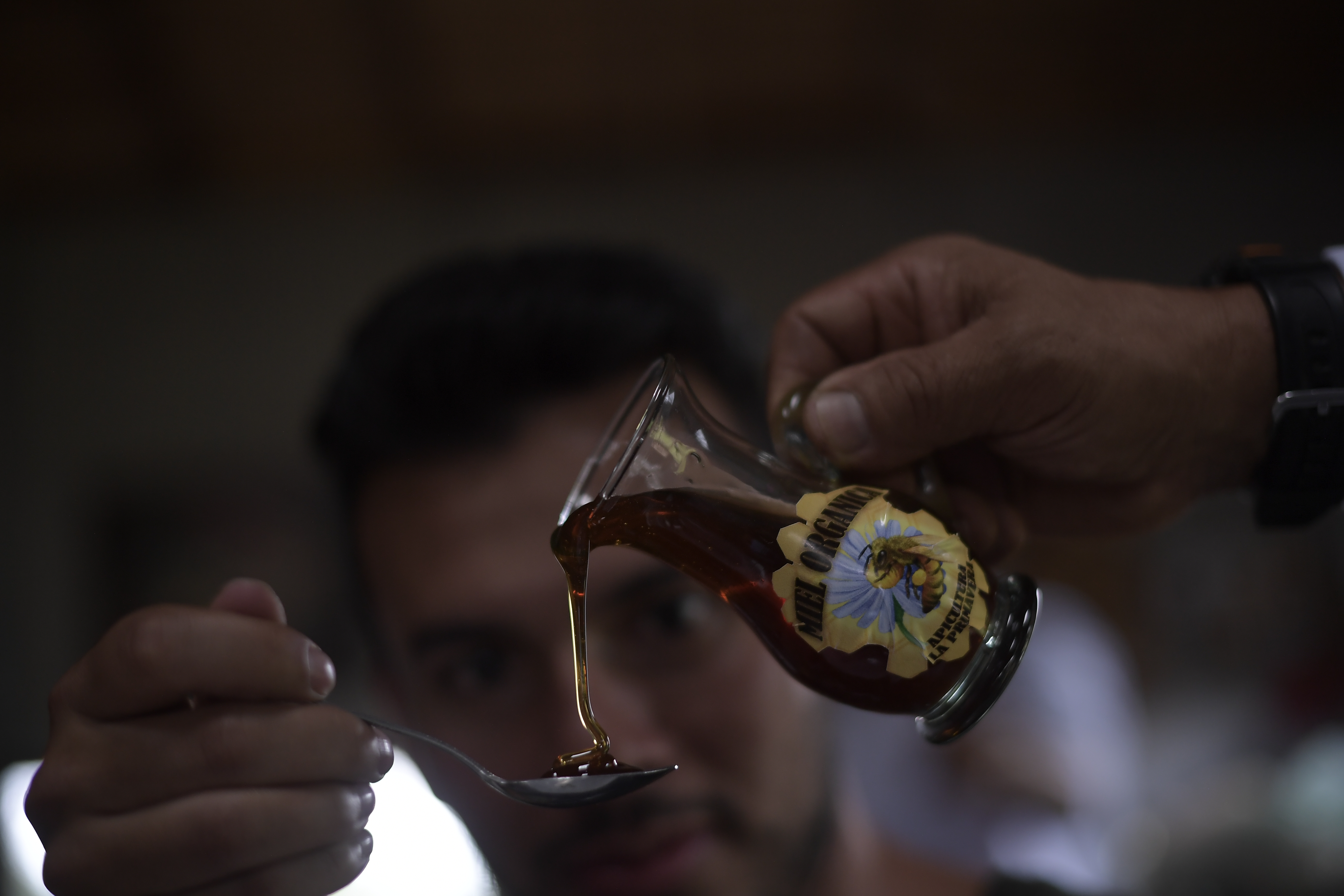 Empresa dedicada a la apicultura, actividad económica del municipio de Ulloa que se dedicada a la crianza de abejas y recolección de miel.