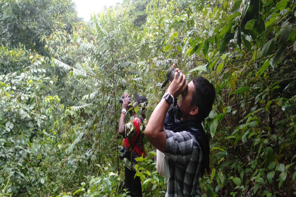 La biodiversidad colombiana, una oportunidad para la reincorporación
