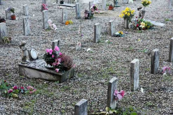 Fiscalía entrega restos de víctimas de Farc y AUC a familiares