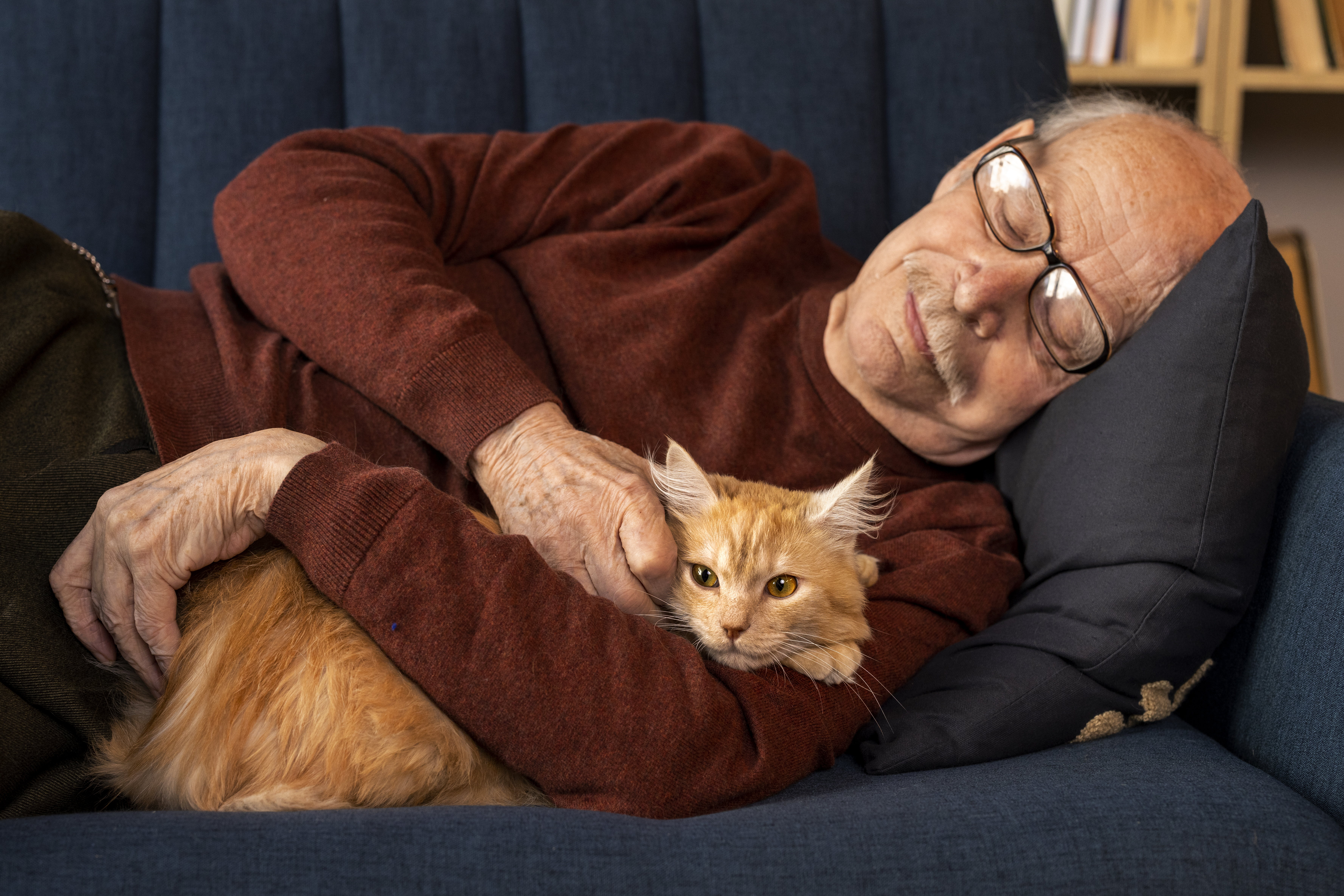 ¿Qué pasa si duermo con mi gato todos los días?